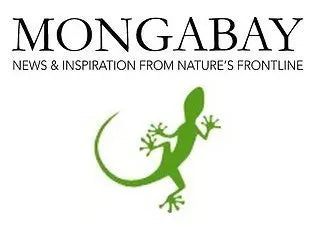 Mongabay Series: Indigenous Peoples & Conservation