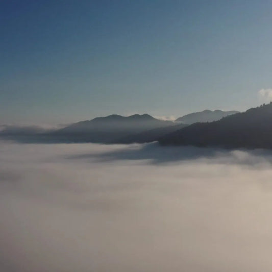 Our Origins in the Mists and the Mountains…